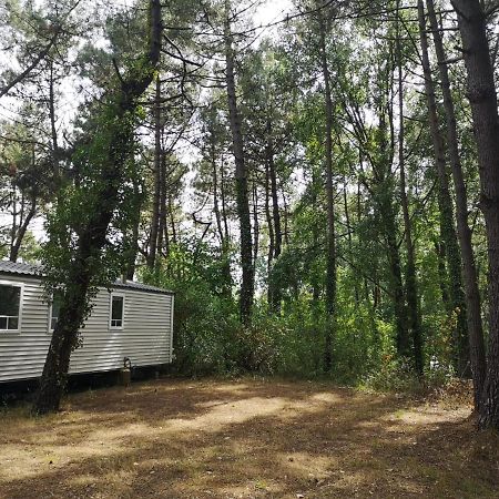 Le Ilo - Camping La Dune Blanche Camiers Εξωτερικό φωτογραφία